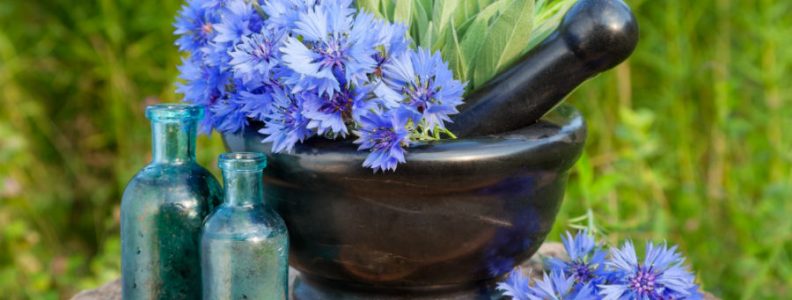 FITOTERAPIA: UMA ABORDAGEM INTEGRATIVA FITOTERAPIA: UMA ABORDAGEM INTEGRATIVA