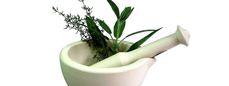 Brahmi: a Rasayana da mente Brahmi: a Rasayana da mente