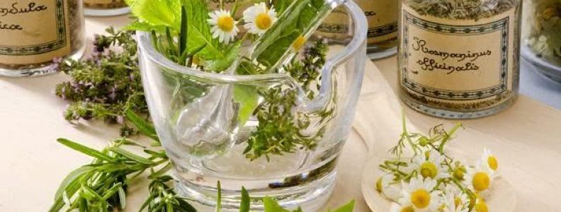 FITOTERAPIA: ESTUDO DAS PLANTAS MEDICINAIS FITOTERAPIA: ESTUDO DAS PLANTAS MEDICINAIS